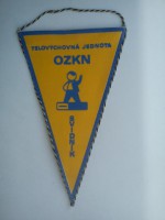 /album/svidnik/svidnik-tj-ozkn-20-jpg/